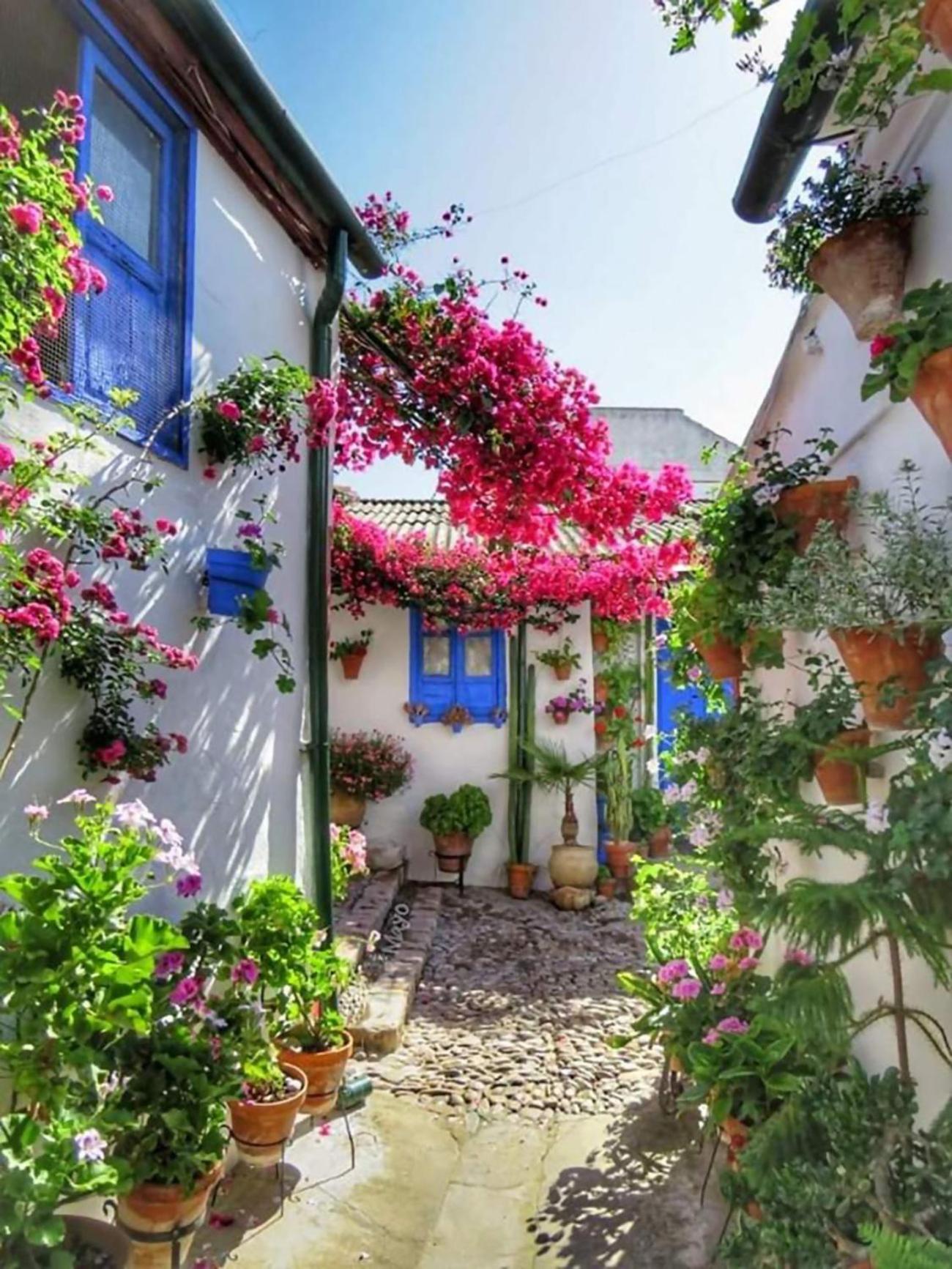 Nieves Viejas Los Patios Cordoba Exterior photo