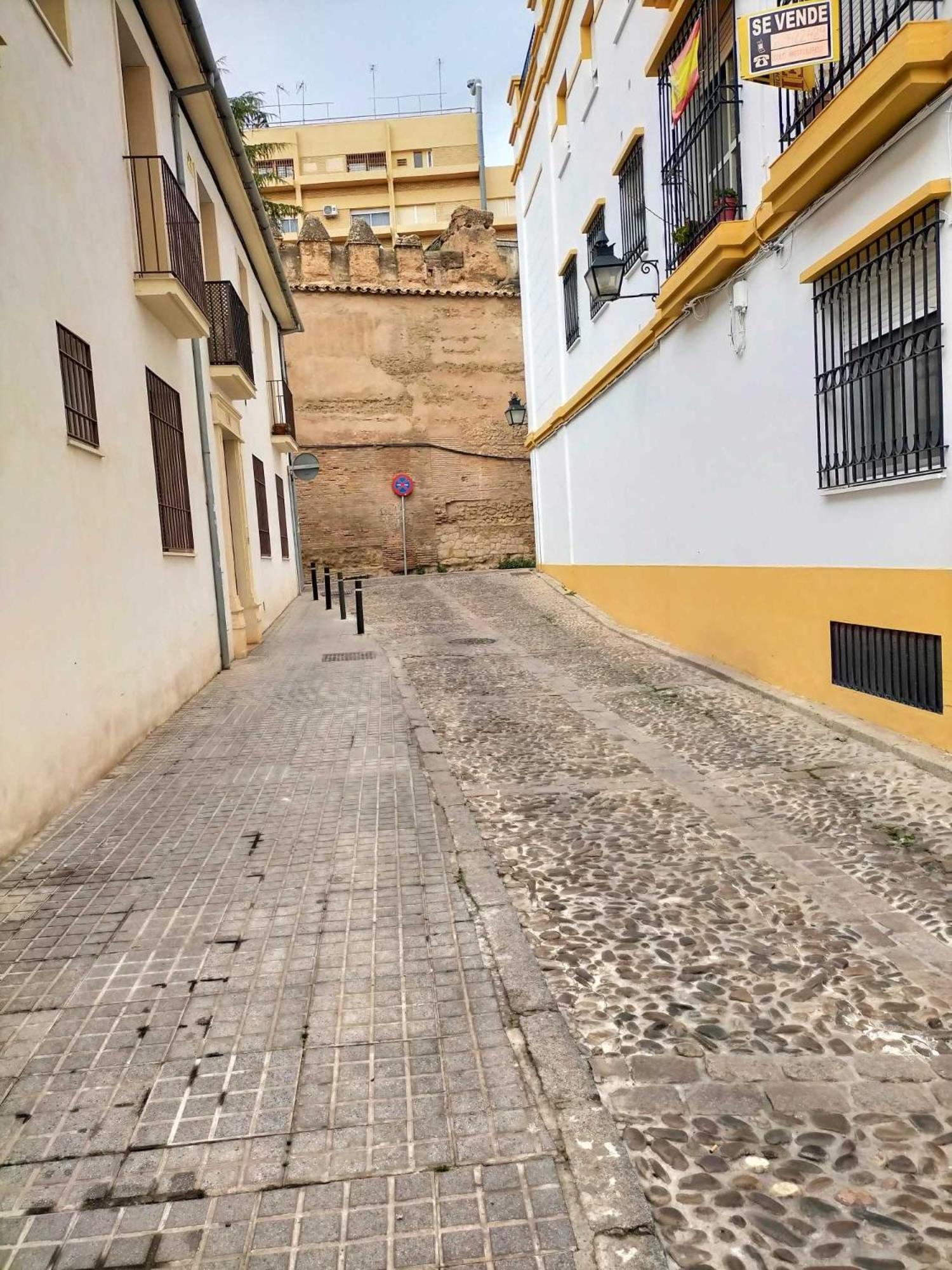 Nieves Viejas Los Patios Cordoba Exterior photo